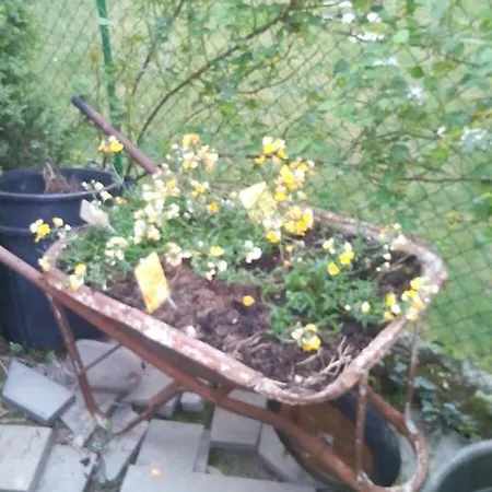 Ametista Bergamo Bed & Breakfast *
